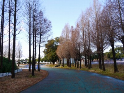 しらこばと水上公園の写真27