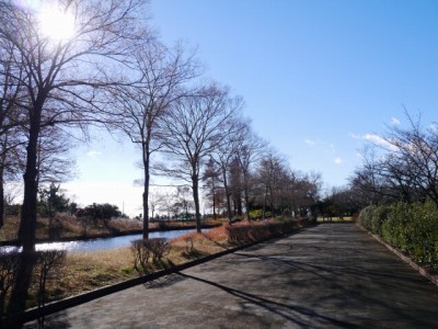 しらこばと水上公園の写真30