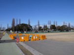 しらこばと公園（コバトンの森エリア）の写真のサムネイル写真20