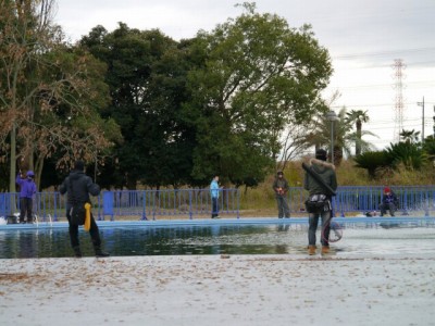 しらこばと水上公園（プールフィッシング）の写真