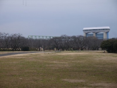 さくら草公園の写真4