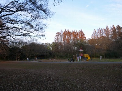 秋ヶ瀬公園の写真6