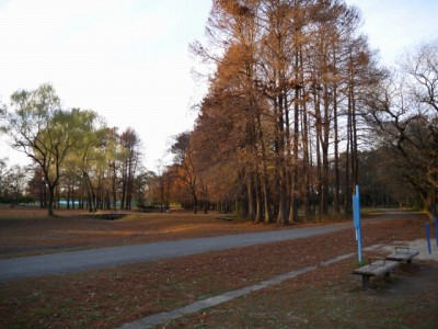 秋ヶ瀬公園の写真7