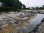 大宮花の丘農林公苑の写真のサムネイル写真22