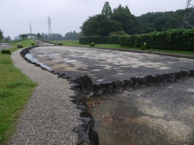 大宮花の丘農林公苑の写真23