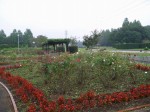大宮花の丘農林公苑の写真のサムネイル写真25