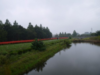 大宮花の丘農林公苑の写真43