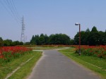 大宮花の丘農林公苑の写真のサムネイル写真56