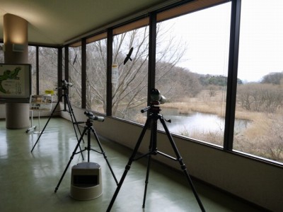 埼玉県自然学習センターの写真3