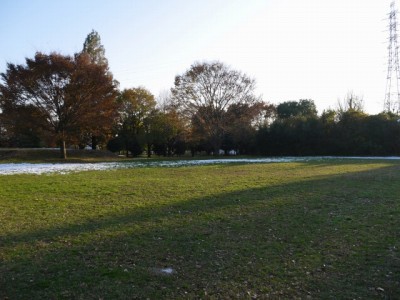 久喜市総合公園の写真2