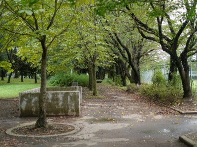 清久公園の写真4