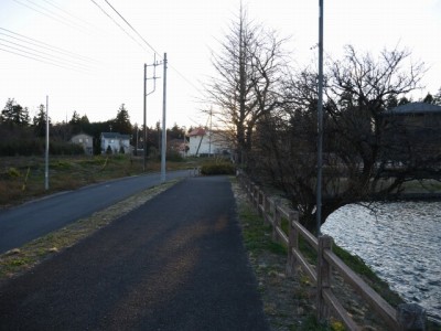 大沼公園の写真3