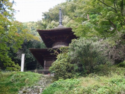 金鑚神社の写真2