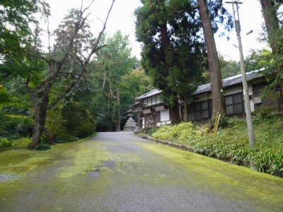 金鑚神社の写真4