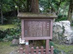 金鑚神社の写真のサムネイル写真6