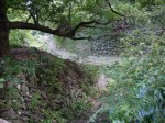 金鑚神社の写真のサムネイル写真7