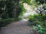金鑚清流公園の写真のサムネイル写真8