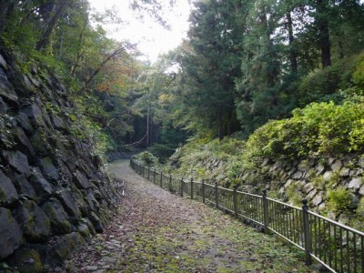 金鑚清流公園の写真15