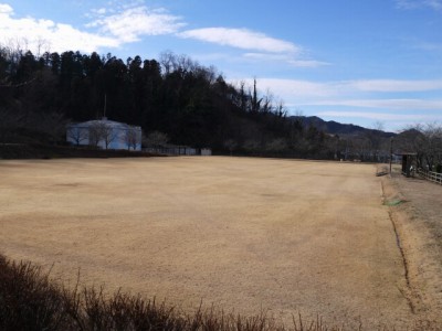 新宿ふれあい公園の写真9