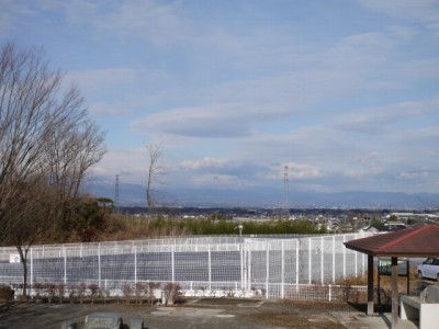 新宿ふれあい公園の写真17