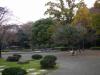 平塚公園の写真のサムネイル写真22