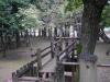 平塚公園の写真のサムネイル写真31