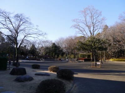 平塚公園の写真