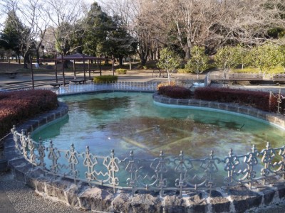 平塚公園の写真2
