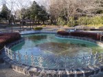 平塚公園の写真のサムネイル写真2