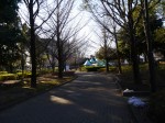 平塚公園の写真のサムネイル写真5