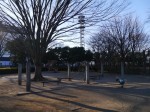 平塚公園の写真のサムネイル写真11