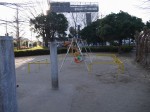 平塚公園の写真のサムネイル写真12