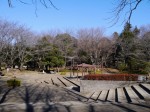 平塚公園の写真のサムネイル写真14