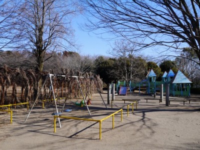 平塚公園の写真15