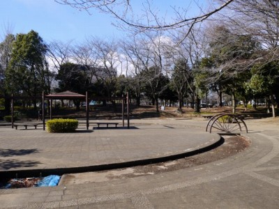 平塚公園の写真19