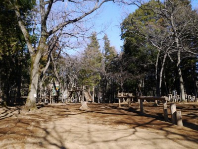 平塚公園の写真20