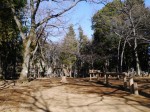 平塚公園の写真のサムネイル写真20