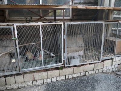 榎本牧場の写真17