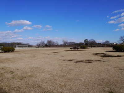 安比奈親水公園の写真2