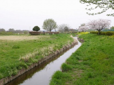 安比奈親水公園の写真19