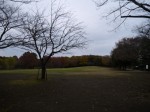 そうか公園の写真のサムネイル写真9