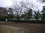 そうか公園の写真のサムネイル写真10