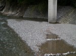 ウォーターパークシラヤマの写真のサムネイル写真7