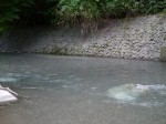 ウォーターパークシラヤマの写真のサムネイル写真19