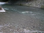 ウォーターパークシラヤマの写真のサムネイル写真22