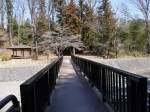 ウォーターパークシラヤマの写真のサムネイル写真32