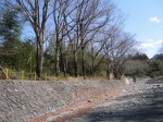 ウォーターパークシラヤマの写真のサムネイル写真41