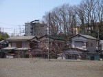 ウォーターパークシラヤマの写真のサムネイル写真46