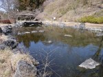 ウォーターパークシラヤマの写真のサムネイル写真61