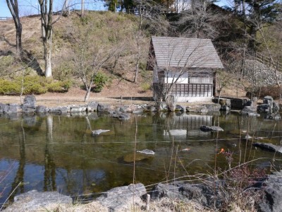 ウォーターパークシラヤマの写真37